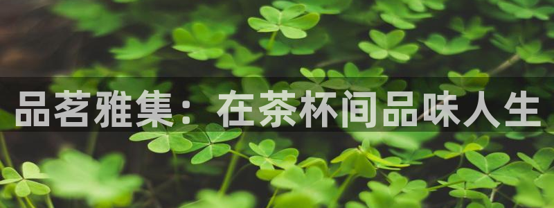 品茗雅集：在茶杯间品味人生