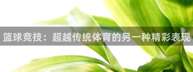 篮球竞技：超越传统体育的另一种精彩表现