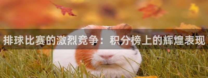 排球比赛的激烈竞争：积分榜上的辉煌表现