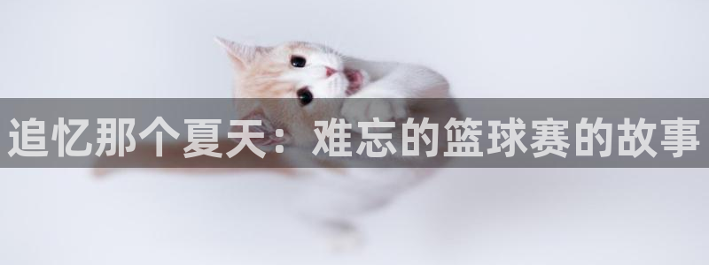 追忆那个夏天：难忘的篮球赛的故事