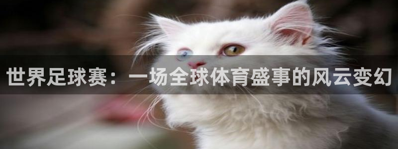 星球体育馆：世界足球赛：一场全球体育盛事的风云变幻