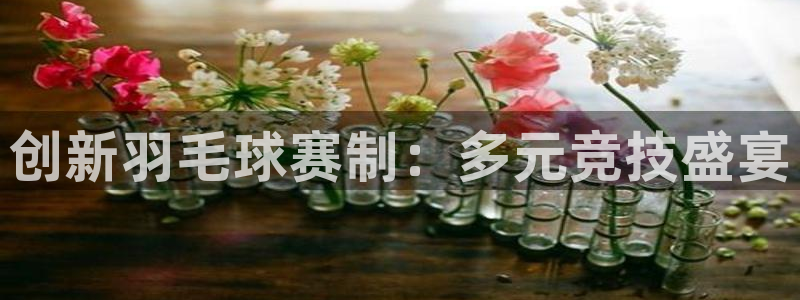 星空 体育：创新羽毛球赛制：多元竞技盛宴