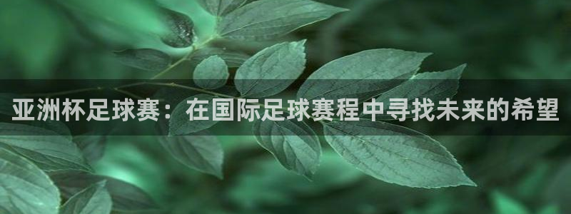 星空综合体育
