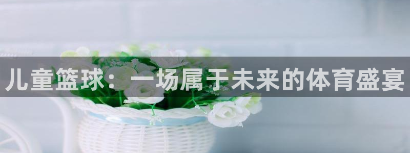 天空体育的可信度：儿童篮球：一场属于未来的体育盛宴